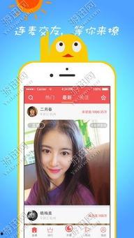 阿疯直播爆料视频大全下载,揭秘幕后真相，带你领略直播界的风云变幻