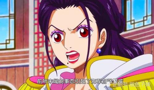 海贼王兔子爆料视频,兔子爆料揭秘，最新剧情大揭秘！