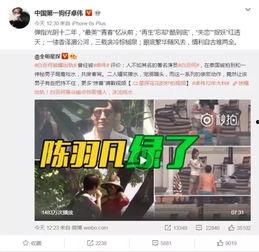 云吞爆料丁海棠视频下载,云吞爆料视频下载背后的故事  第1张