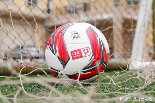 辽宁爆料假球视频大全集,揭秘假球视频大全集，真相令人震惊  第2张